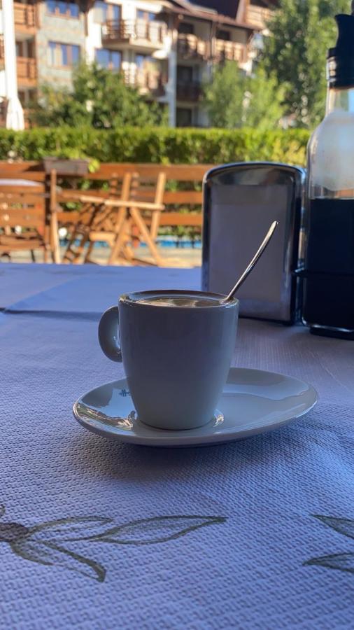 Hotel Belvedere Panorama Bansko Dış mekan fotoğraf